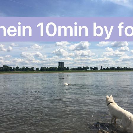 Igo Apartment: Rhine Riverfront Pet-Friendly with Washer/Dryer Duisburg Exterior photo